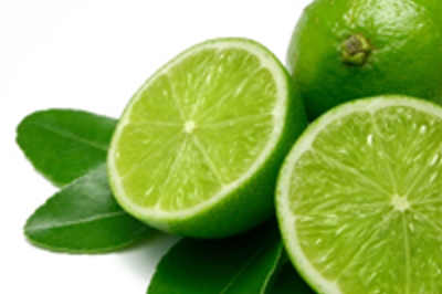 ����� ���� ����� ������� Citrus aurantifoli